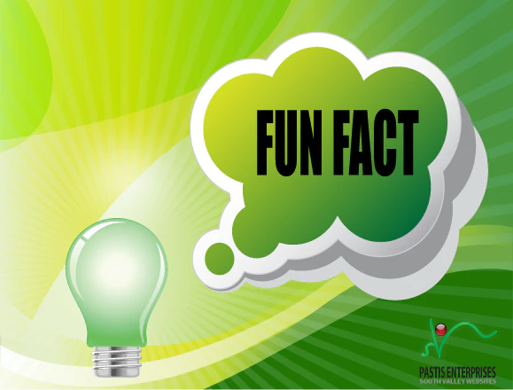 Buckle Up for a Ride Through the Digital Time Machine