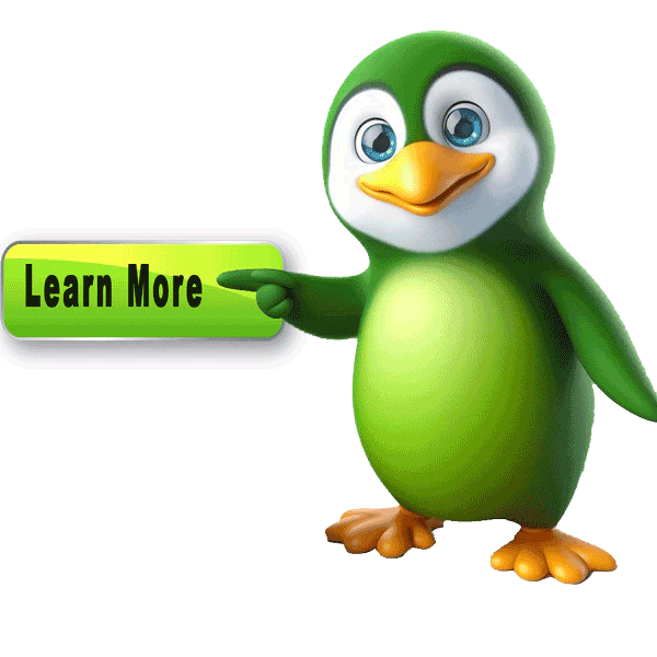 Discover the Simplicity of Web Design with Weebly at Pastis Enterprises